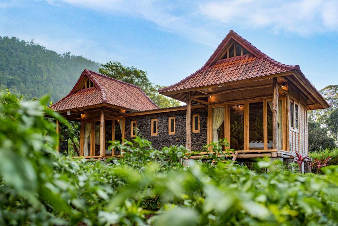 Pondok Manoka Kintamani Exteriér fotografie