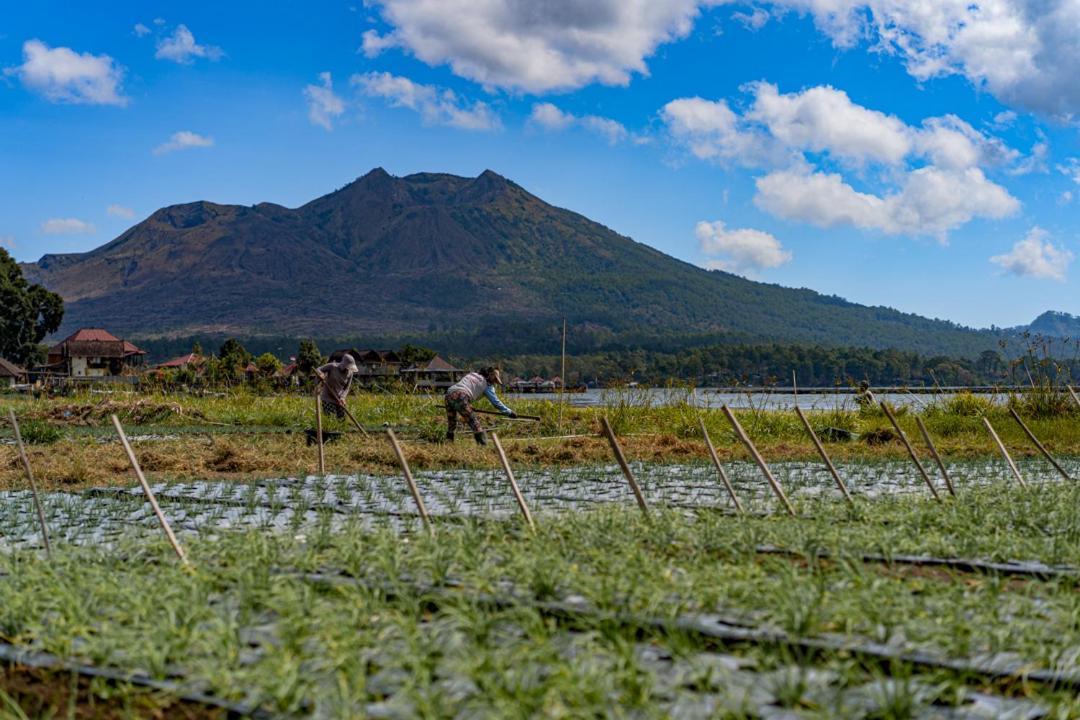 Pondok Manoka Kintamani Exteriér fotografie