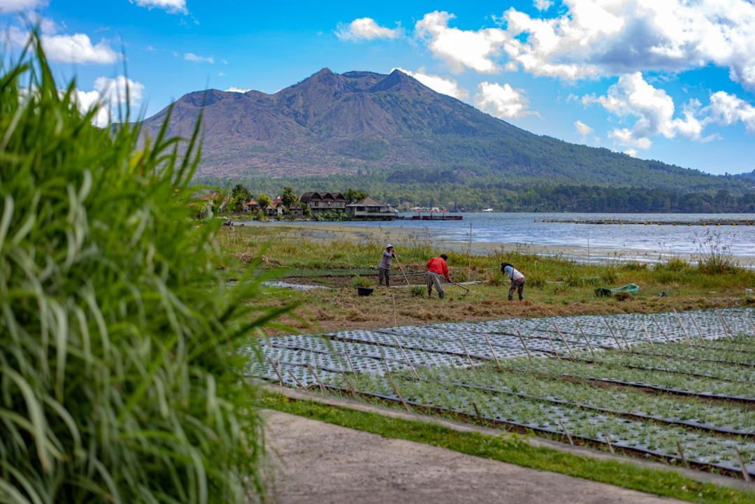 Pondok Manoka Kintamani Exteriér fotografie