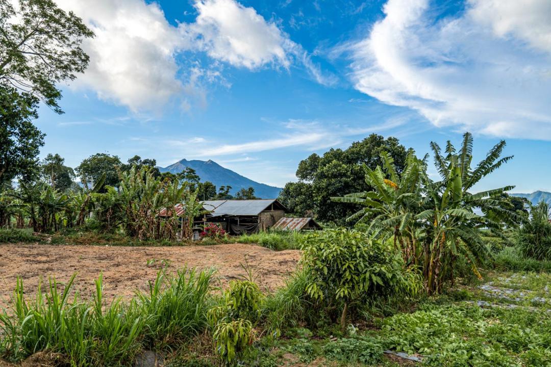 Pondok Manoka Kintamani Exteriér fotografie