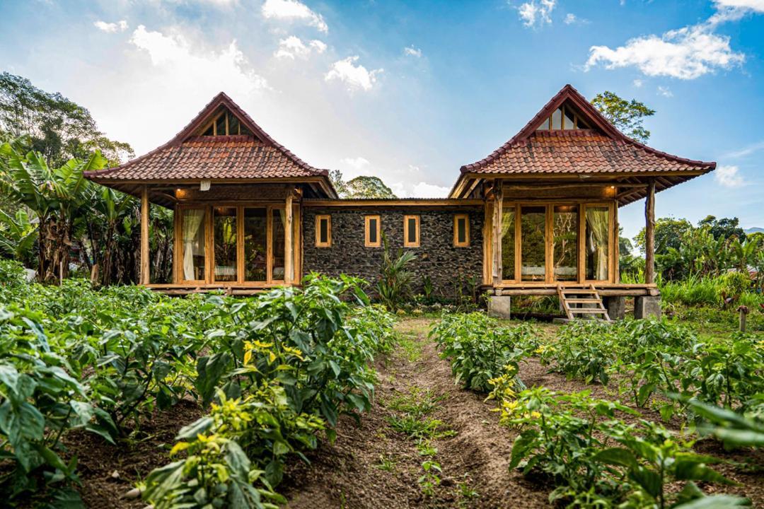 Pondok Manoka Kintamani Exteriér fotografie