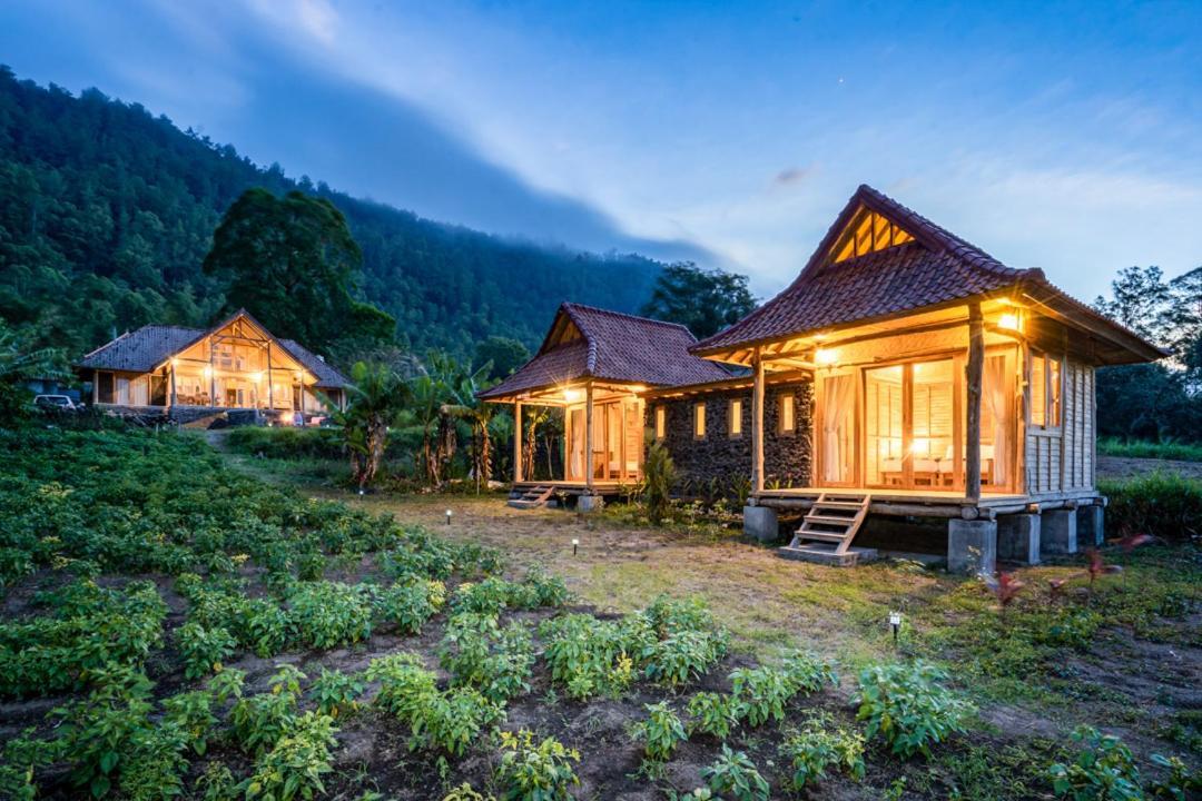 Pondok Manoka Kintamani Exteriér fotografie
