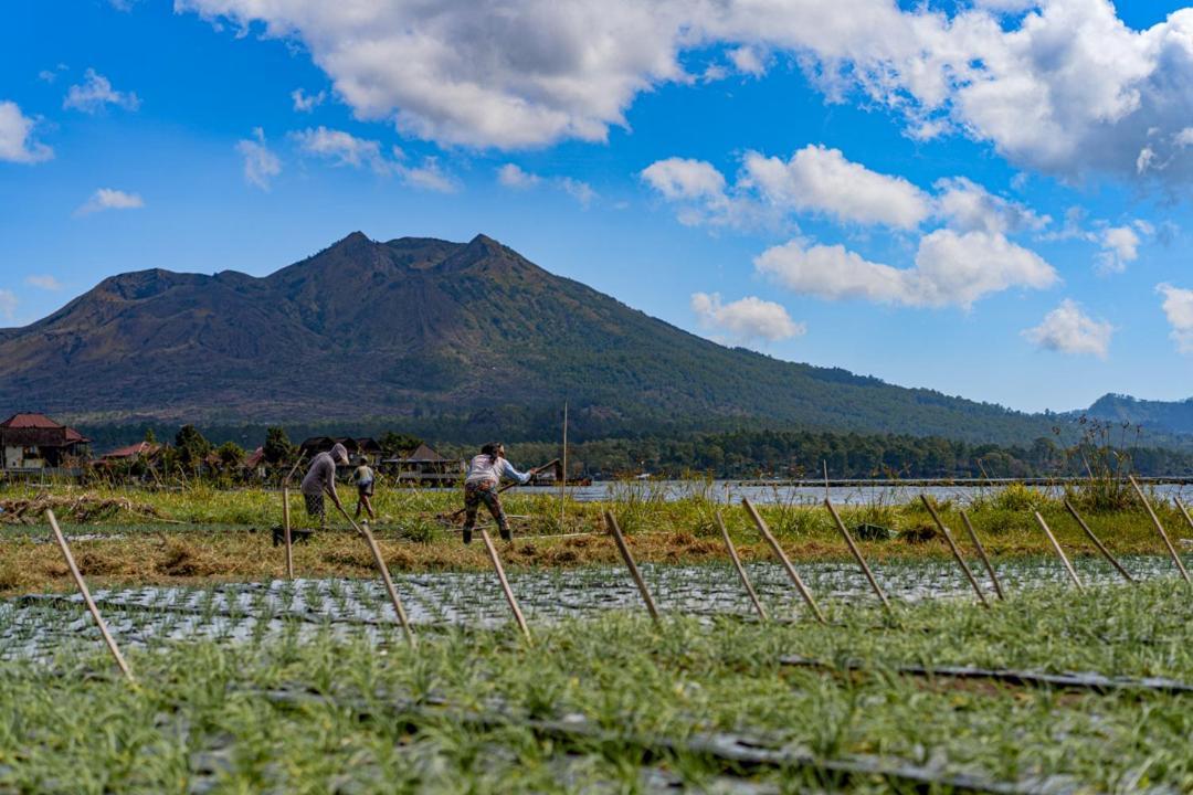 Pondok Manoka Kintamani Exteriér fotografie