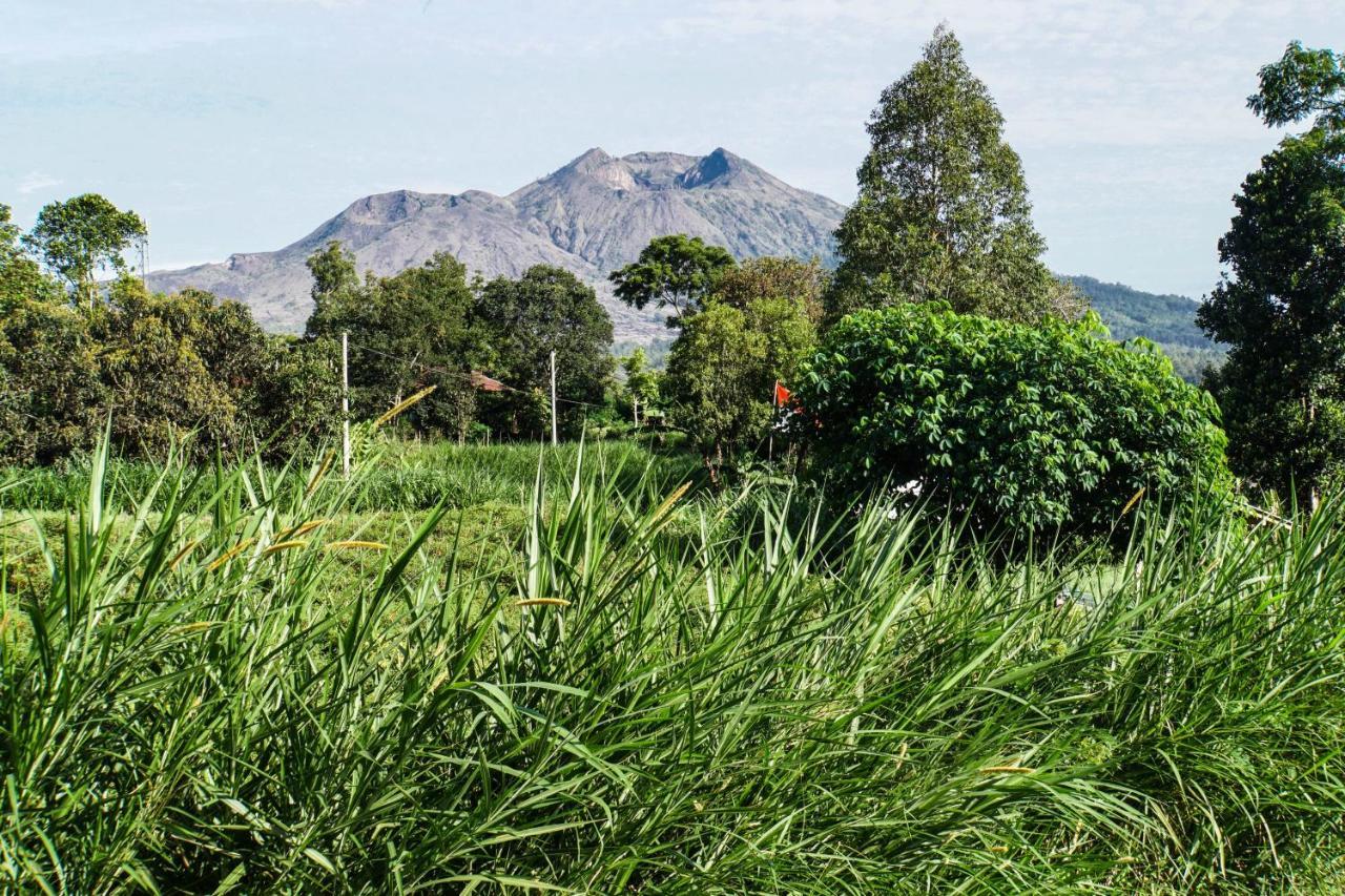 Pondok Manoka Kintamani Exteriér fotografie